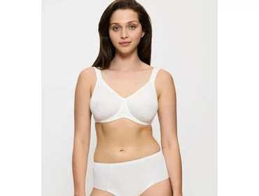 Minimizer